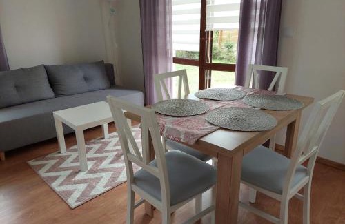 Naleczow Appartement | Apartamenty Zdrojowe