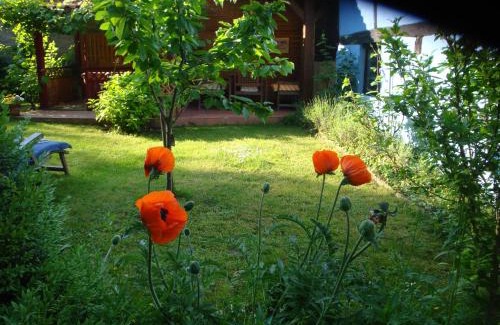 Bischwiller Appartement | Apartement de vacances Alsace - Ferienwohnung Elsaß - Holiday apartment Alsace