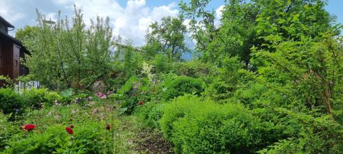 Reutte Appartement | Apartements Breitenwang