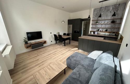 Dvur Kralove nad Labem Appartement | Apartemnt in Dvůr Králové nad Labem