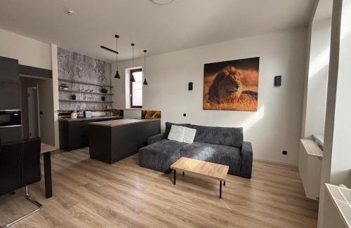Dvur Kralove nad Labem Appartement | Apartemnt in Dvůr Králové nad Labem