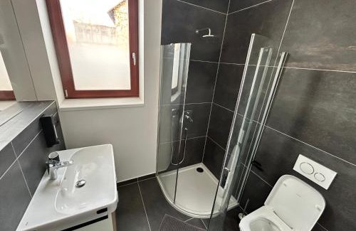 Dvur Kralove nad Labem Appartement | Apartemnt in Dvůr Králové nad Labem