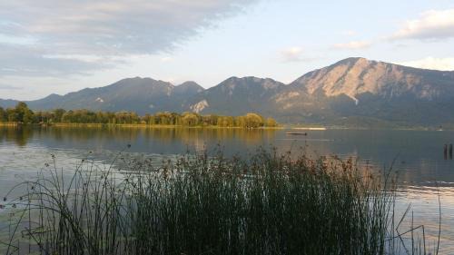 Kochel am See Appartement | Aparthotel Alpenpark