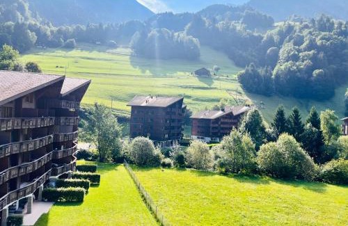 Val d'Illiez Appartement | Aparthotel Mountain River Resort