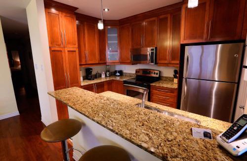 Quartier des Spectacles Appartement | ApartHotelMontreal by Les Terrasses Saint Urbain 2225I2
