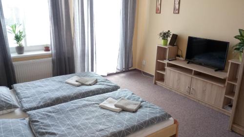 Frantiskovy Lazne Appartement | Apartmá Anglická