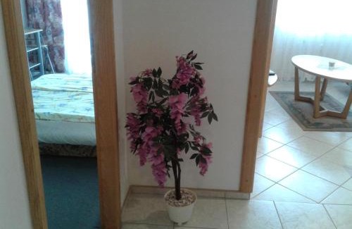 Vrchlabi Appartement | Apartmá Ježková