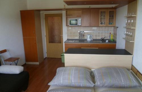 Donovaly Appartement | Apartmán Almet 102