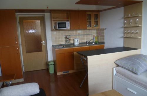 Donovaly Appartement | Apartmán Almet 102