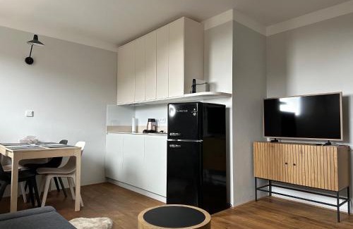 Jablonec nad Jizerou Appartement | Apartmán Bratrouchov - Krkonoše