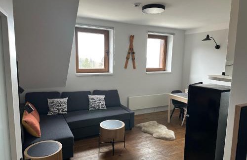 Jablonec nad Jizerou Appartement | Apartmán Bratrouchov - Krkonoše