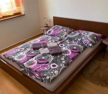 Oscadnica Appartement | Apartmán Diana