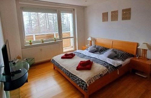 Vysoke Tatry Appartement | Apartmán Gerlach - 4 balconies mountain view