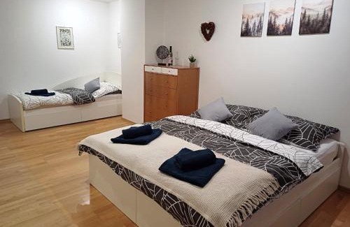 Vysoke Tatry Appartement | Apartmán Gerlach - 4 balconies mountain view
