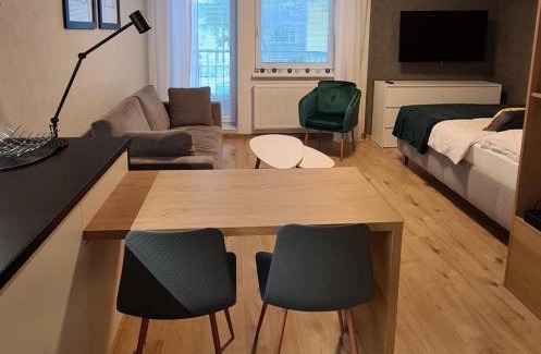 Rajecke Teplice Appartement | Apartmán Hestia 5