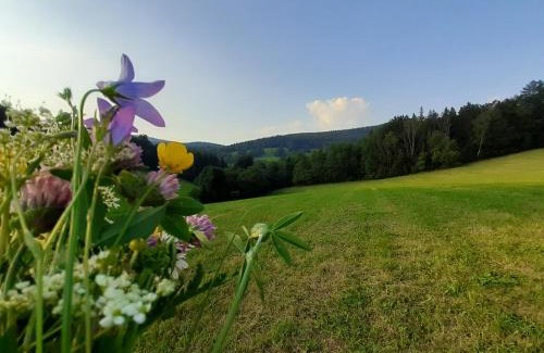 Horni Lipova Appartement | Apartmán Horní Lipová č. 3