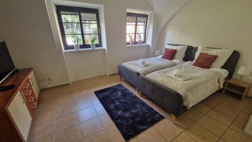 Hradec Kralove Appartement | Apartmán Hradec Králové - U Bílého koně