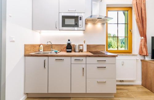 Horni Blatna Appartement | Apartmán Hugo Blatná