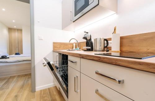 Horni Blatna Appartement | Apartmán Hugo Blatná