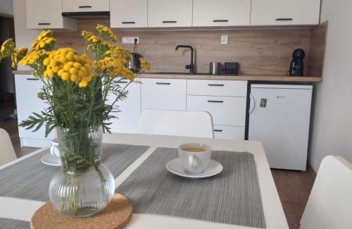Karlovice Appartement | Apartmán Karlovice - Jeseníky