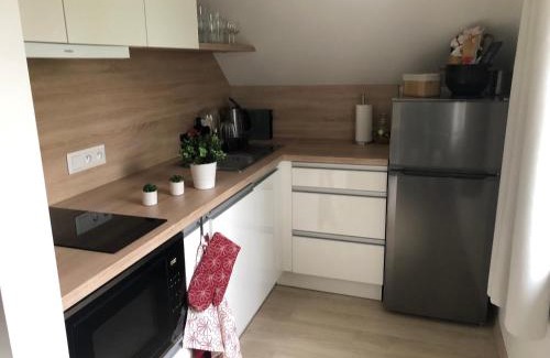 Horni Blatna Appartement | Apartmán Krušné hory - Erzgebirge