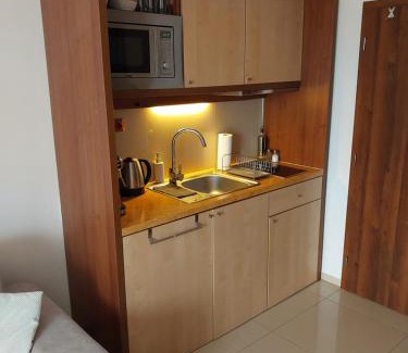 Velka Lomnica Appartement | Apartmán Lomnica Tatragolf I 104