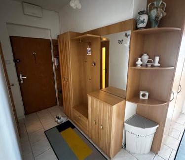 Liptovsky Mikulas Appartement | Apartmán Maňuš
