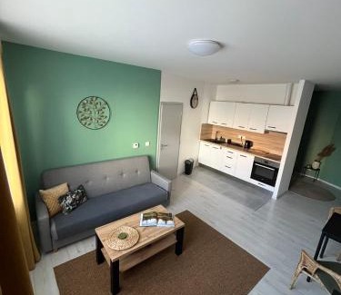 Tabor Appartement | Apartmán Na Dukelské s garáží