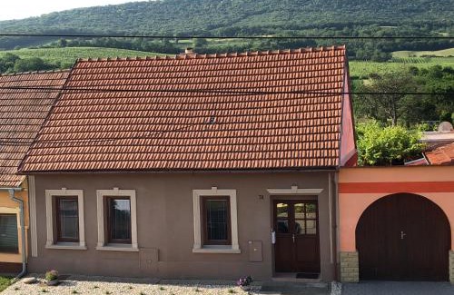 Dolni Vestonice Appartement | Apartmán na Pálavě