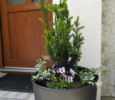 Luhacovice Appartement | Apartmán na výsluní