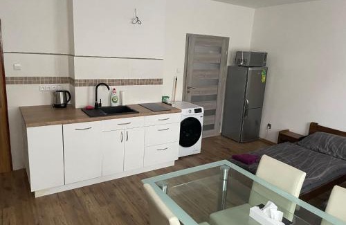 Trebic Appartement | Apartmán nad Bazilikou 1