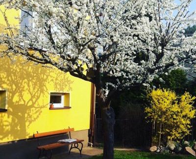 Nachod Appartement | Apartmán Novákovi