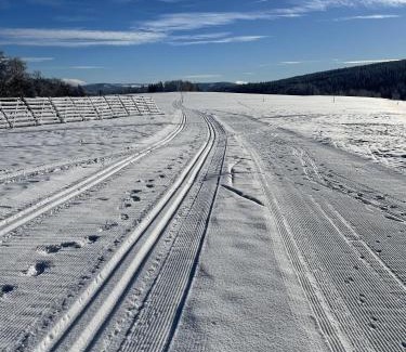 Nove Hute Appartement | Apartmán Nové Hutě Šumava