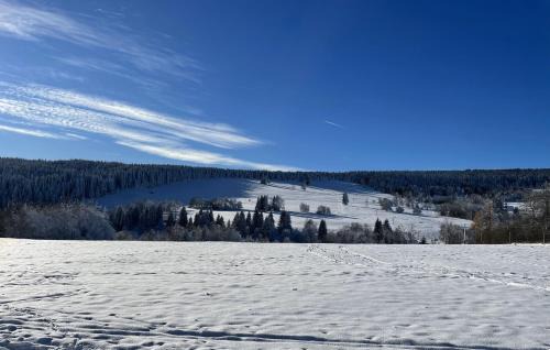 Nove Hute Appartement | Apartmán Nové Hutě Šumava