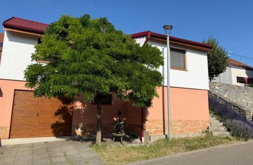 Hustopece Appartement | Apartmán Pavlenka
