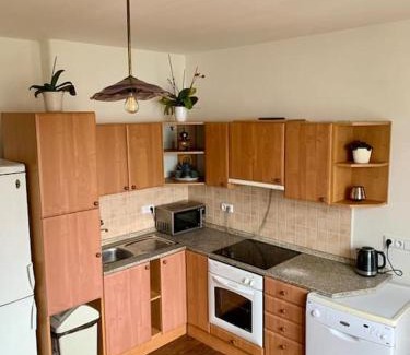 Zdar Nad Sazavou Appartement | Apartmán POD LAMPOU