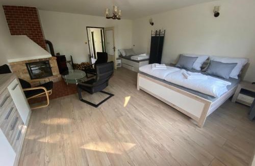 Starovice Maison | Apartmán Pod Mandloní