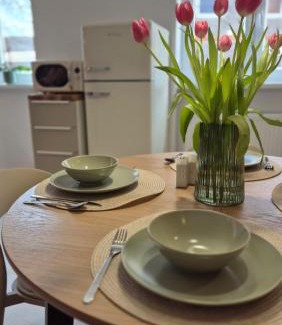 Nove Zamky Appartement | Apartmán pri mlyne