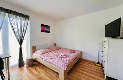 Cerna V Posumavi Appartement | Apartmán Roda1 Malé Lipno