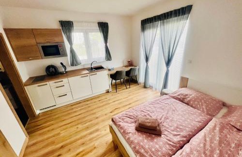 Cerna V Posumavi Appartement | Apartmán Roda1 Malé Lipno