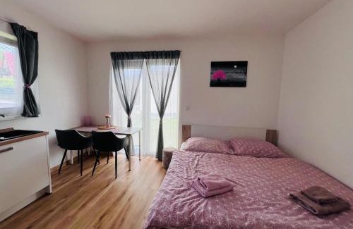 Cerna V Posumavi Appartement | Apartmán Roda1 Malé Lipno
