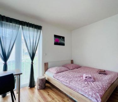 Cerna V Posumavi Appartement | Apartmán Roda1 Malé Lipno