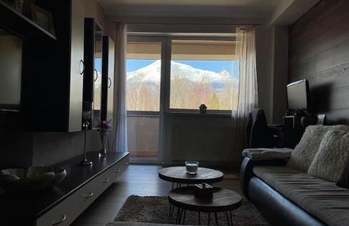 Velky Slavkov Appartement | Apartmán s nádherným výhľadom na Tatry