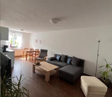 Chodova Plana Appartement | Apartmán Sadová 430