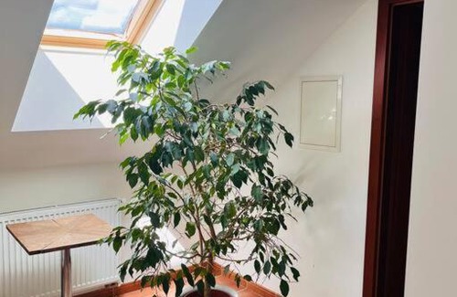 Orech Appartement | Apartmán se zahradou 20 minut do centra Prahy