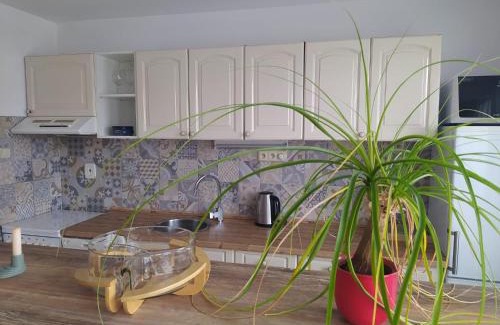 Protivin Appartement | Apartmán se zahradou v Protivíně