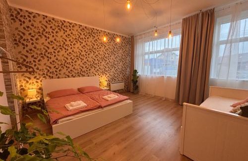 Konice Appartement | Apartmán Spinačka