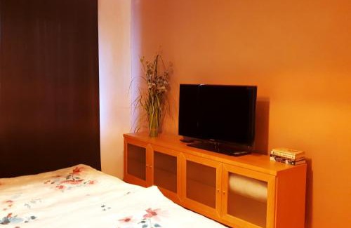 Banska Bystrica Appartement | Apartmán Terminál, self check-in 24 h, free parking