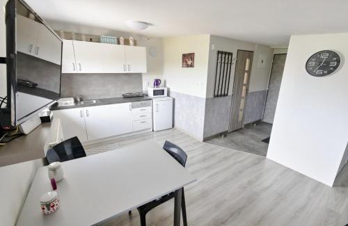 Velky Slavkov Maison | Apartmán Theo