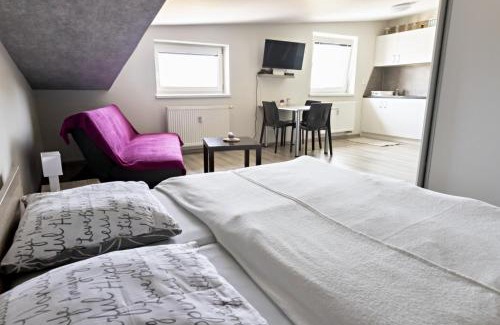 Velky Slavkov Maison | Apartmán Theo
